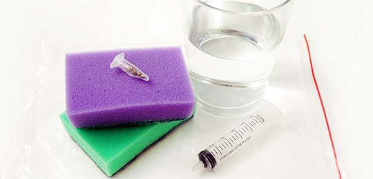 Проращивание семян марихуаны методом D. Sanches