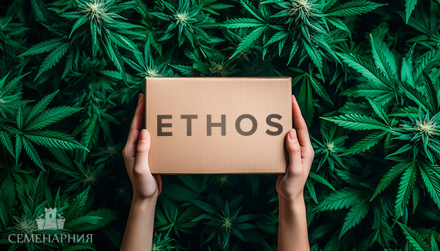 Представляем вам нового производителя семян – ETHOS