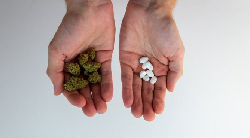 Медицинские и метаболические эффекты марихуаны