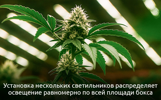 Освещение