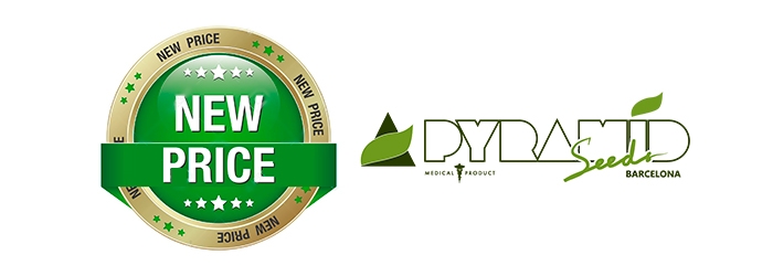 У Pyramid Seeds изменились цены