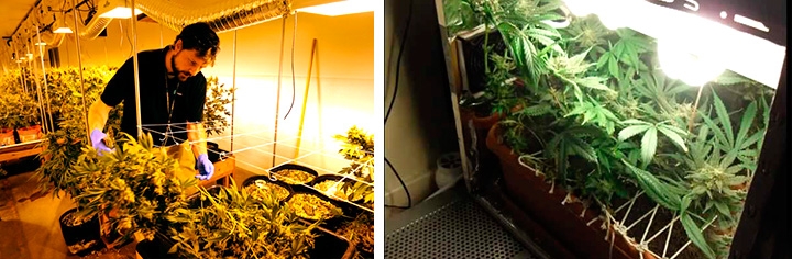 микрогровинг 