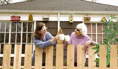 Подружитесь с соседями