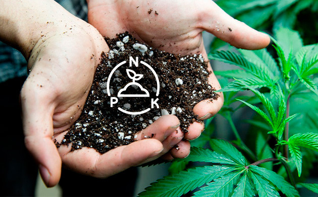 N-P-K удобрения