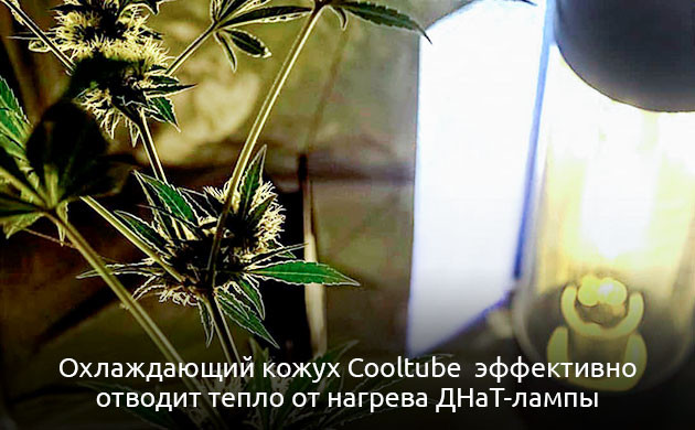 Как понизить температуру в гроубоксе