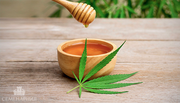 Мёд из каннабиса