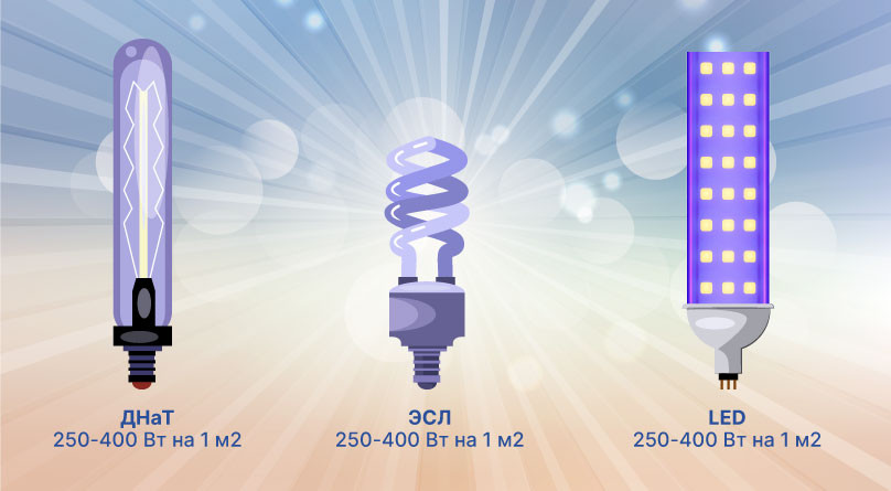Виды ламп для выращивания
