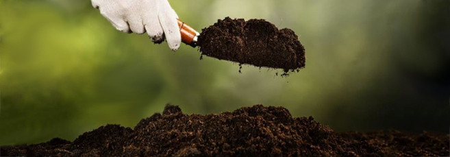 Почва для аутора