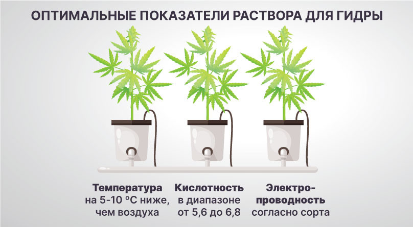 Показатели раствора для гиропоники