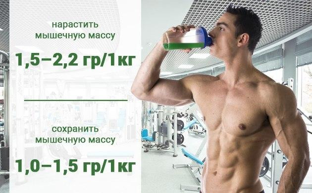 Дозы конопляного протеина