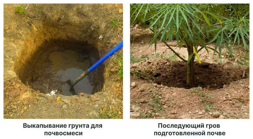 Улучшение почвы в лесной зоне