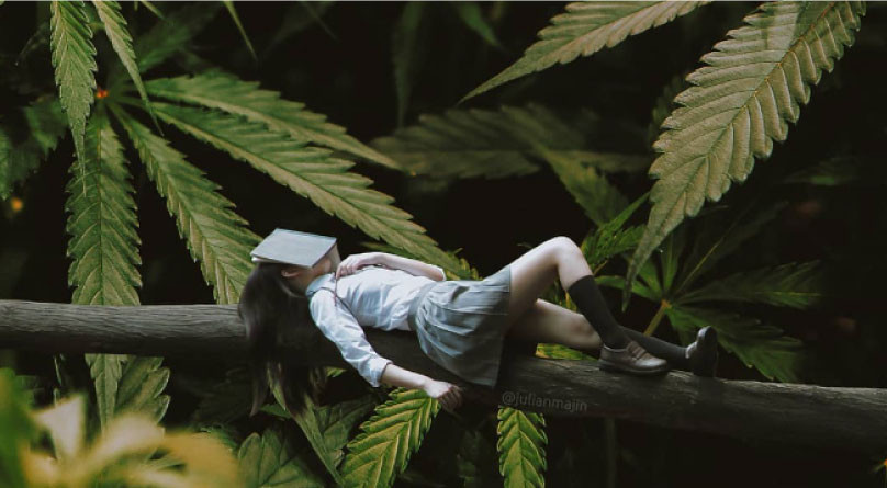Каннабис помогает при лечении бессонницы