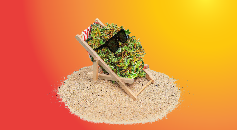 Лампы для выращивания конопли