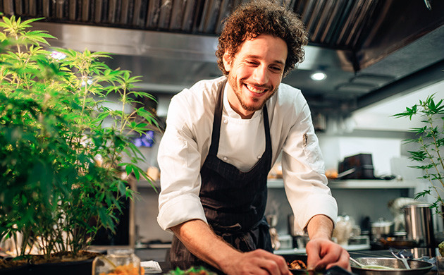 Плюсы конопляных блюд