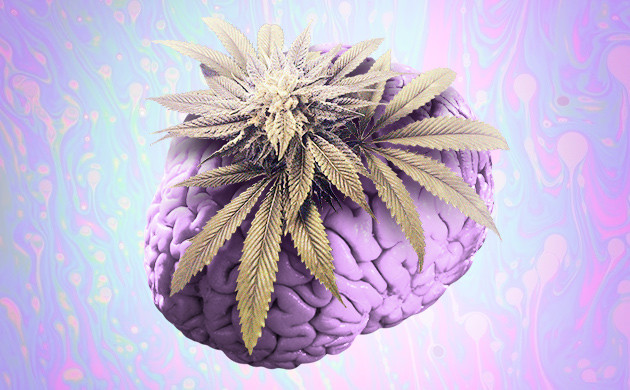 Каннабис и мозг