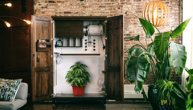 Спрятать гроубокс