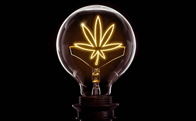 Световой режим для фото и автоцветущих сортов