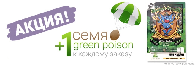 Акция! Бесплатное семя в каждом заказе!