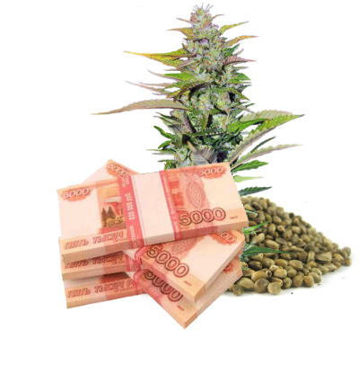 минусы конопли f1 