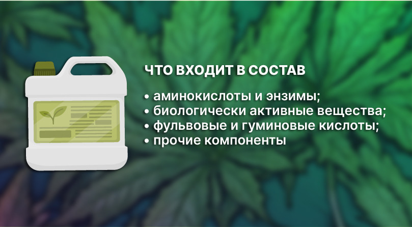 Состав стимуляторов конопли