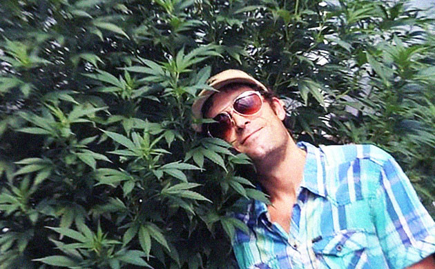 Доктору Джойнту и кусты конопли