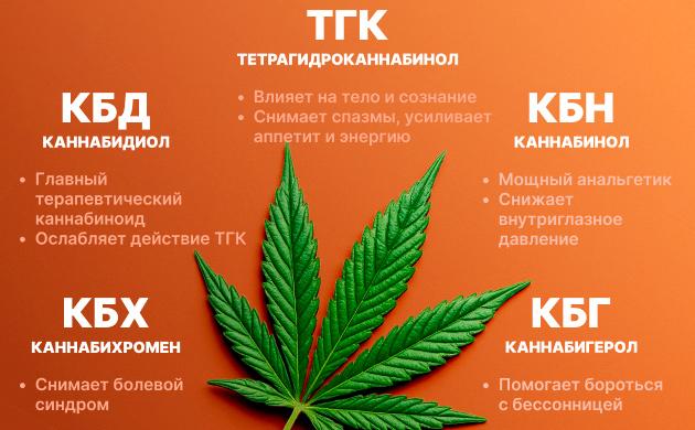 Почему марихуана лечит