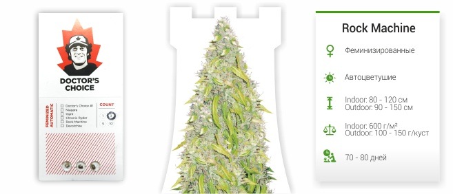 Rock Machine auto (Doctor’s Choise)