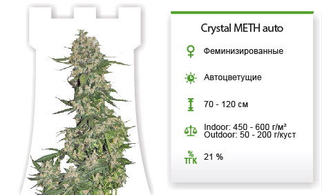 Crystal METH Auto от FastBuds