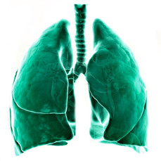 Чашечка для бонга