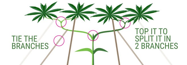 Техника суперкроппинг