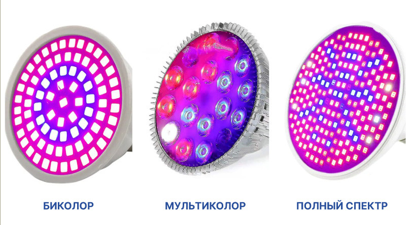 3 вида LED ламп