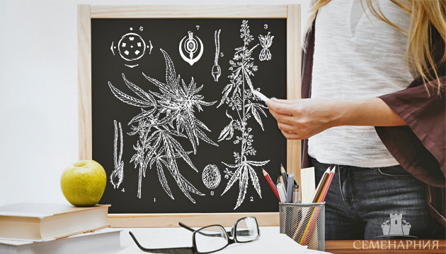 Строение конопли