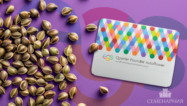 Сорта от Easy Grow Seeds