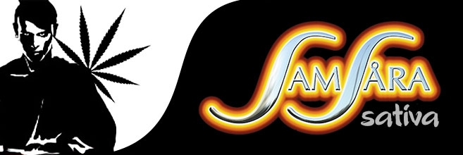 Мощные сорта сативы от Samsara Seeds