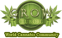 Grow club.org