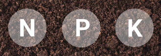 Питательные вещества для почвы конопли 