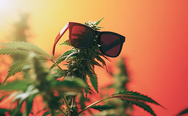 Автоцветы не заметны