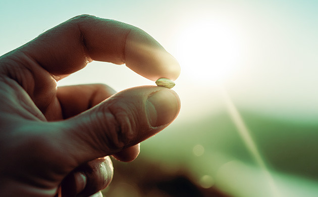 Как анонимно приобрести семена конопли