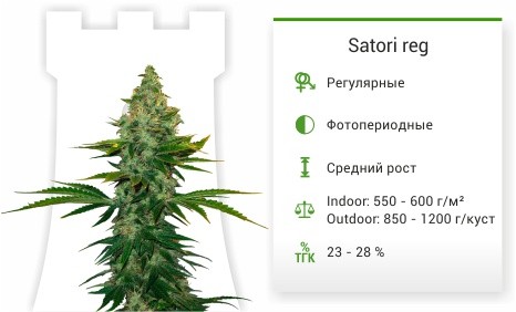 Satori reg (Mandala Seeds)