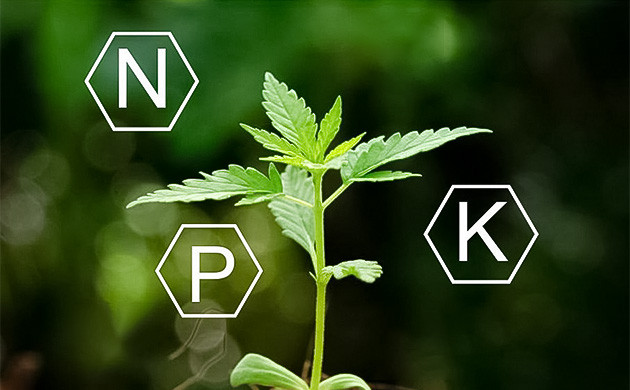 Азот, фосфор и калий