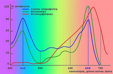 Значение спектра освещения для растений