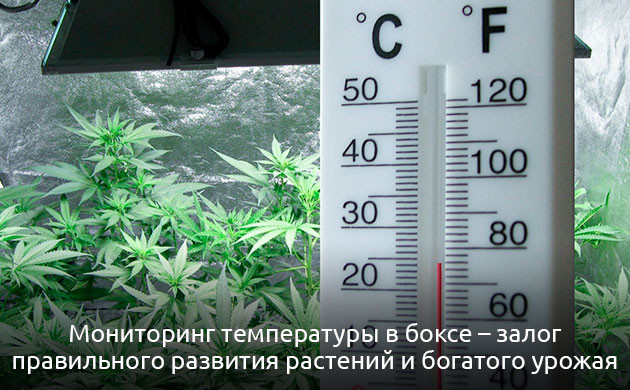 Мониторинг и корректировка температуры