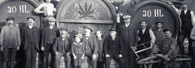 Как появилось конопляное пиво