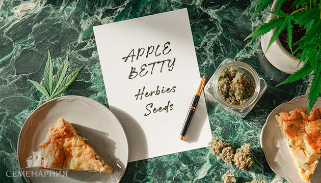 Выращивание сорта марихуаны Apple Betty от Herbies Seeds