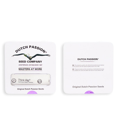 Сорт Think Different Auto fem (Dutch Passion)