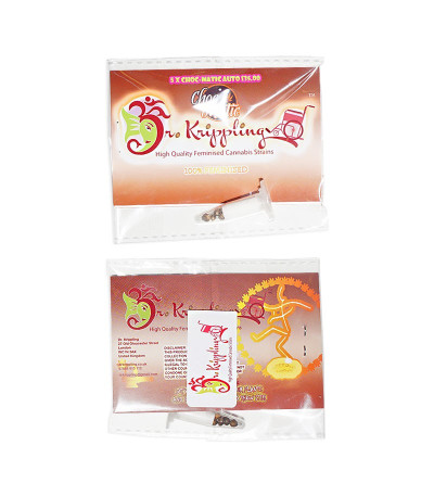 Сорт Choc-Matic Auto fem (Dr. Krippling Seeds)