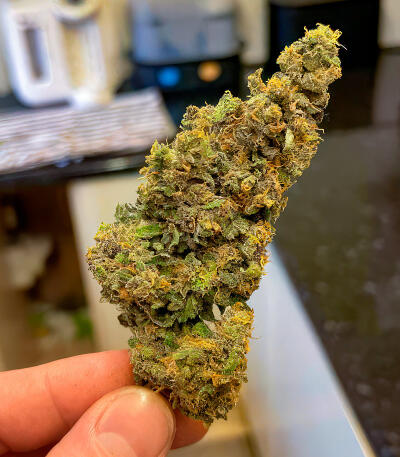 Сорт Sour Diesel x OG Kush fem (Seedkeepers)