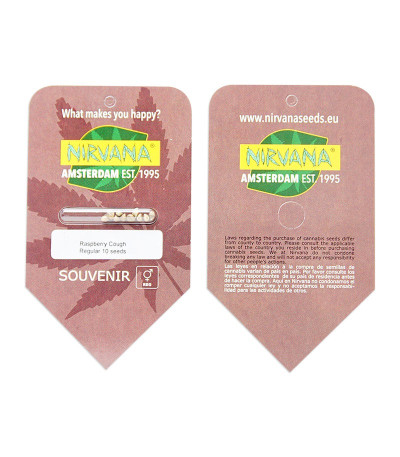 Сорт Raspberry Cough reg (Nirvana Seeds)