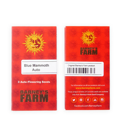 Сорт Blue Mammoth Auto fem