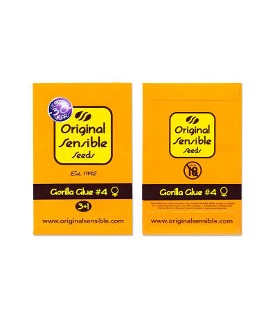 Сорт Gorilla Glue #4 fem (Original Sensible Seeds)